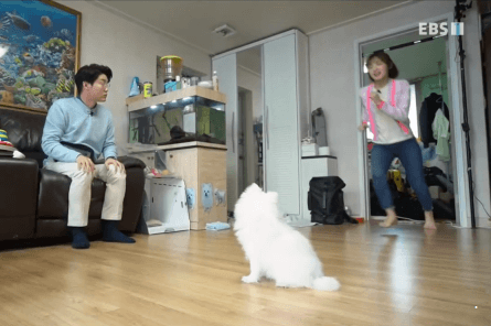 1a734c333885c18e7015690445468c19_1592246540_2381.gif